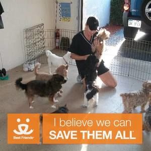 Meet your Posher, Crandell